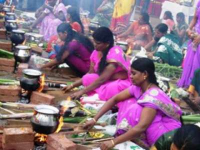 Some interesting aspects of the Pongal festival, and associated temples