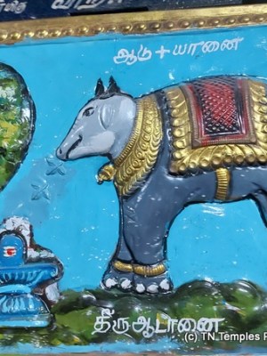 Aadi Ratneswarar, Tiruvadanai, Ramanathapuram
