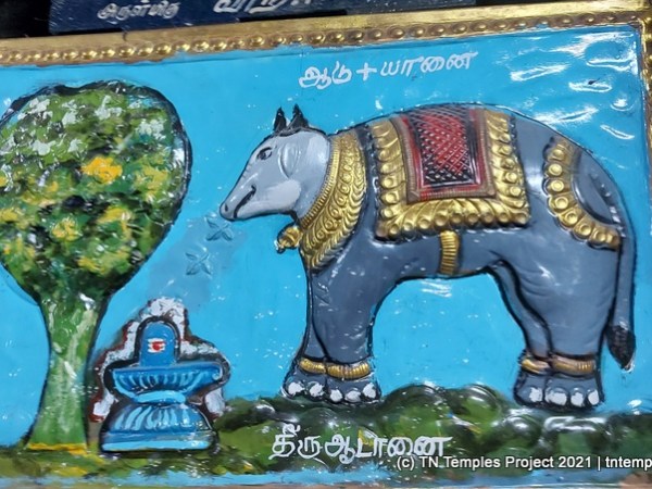 Aadi Ratneswarar, Tiruvadanai, Ramanathapuram