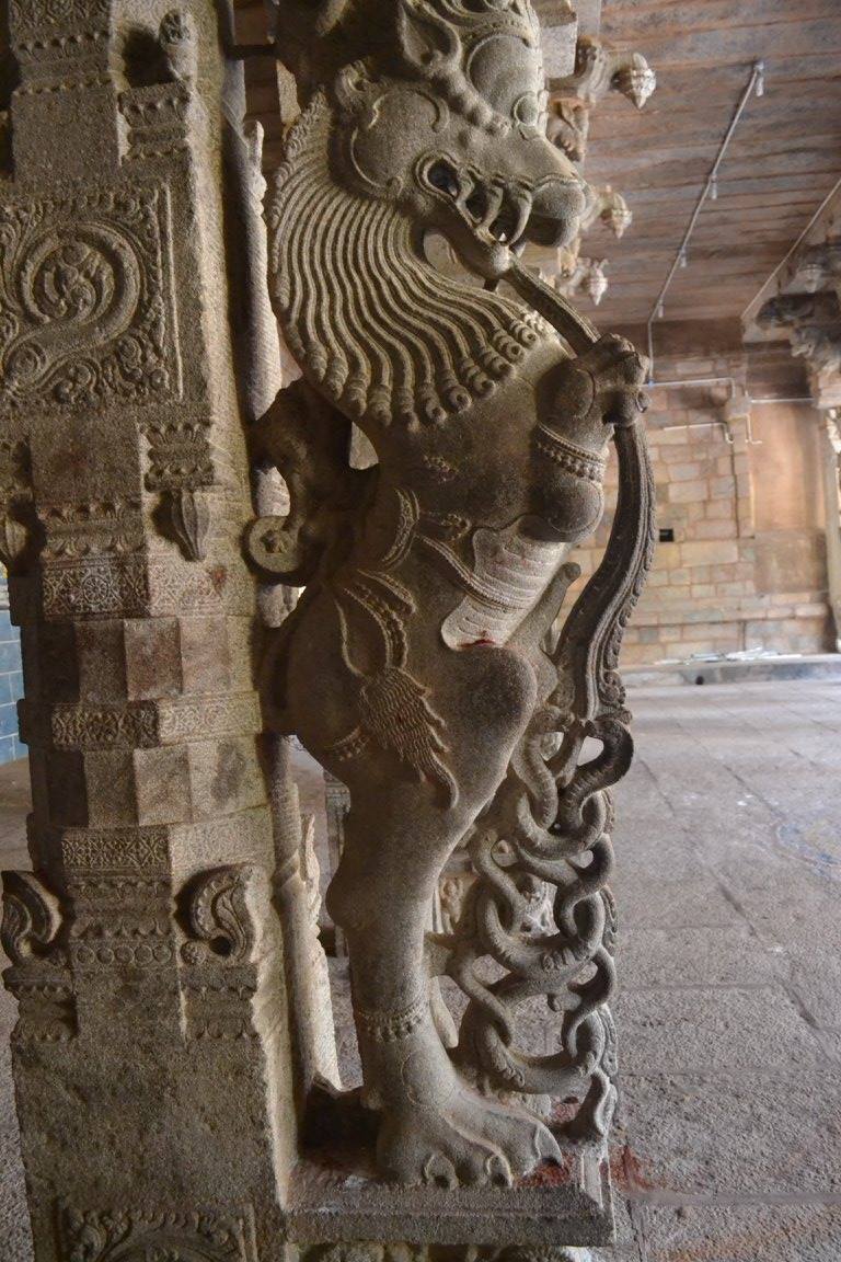 PC: Kadambur Vijay (2022)